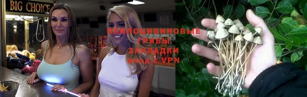 трава Мегион