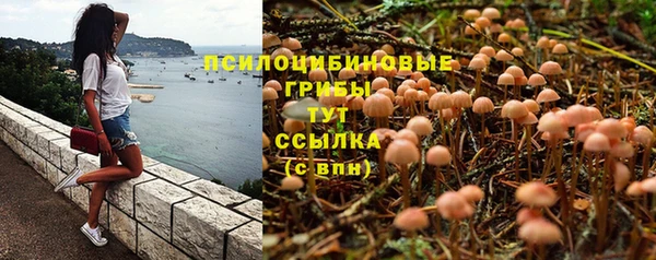 ГАЛЛЮЦИНОГЕННЫЕ ГРИБЫ Уссурийск
