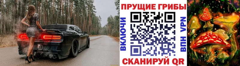 Галлюциногенные грибы прущие грибы Липецк