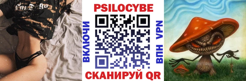 где можно купить   Липецк  Галлюциногенные грибы Psilocybe 